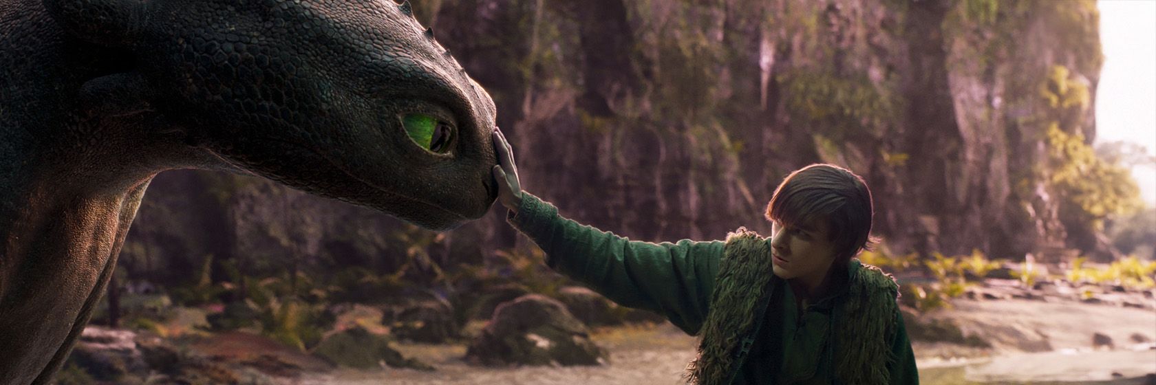 How To Train Your Dragon